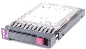 HP 300GB 3G DP 10K 2.5 SAS - 493083-001