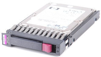 HP 300GB 3G DP 10K 2.5 SAS - 493083-001