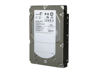 Seagate Cheetah 300GB 15k.6 SAS 
